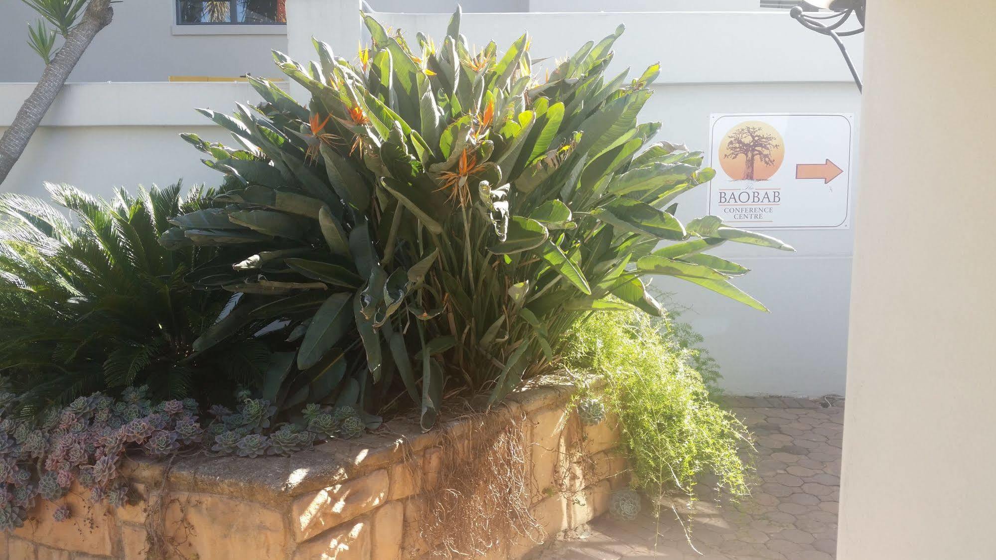 Villa The Baobab Midrand Esterno foto
